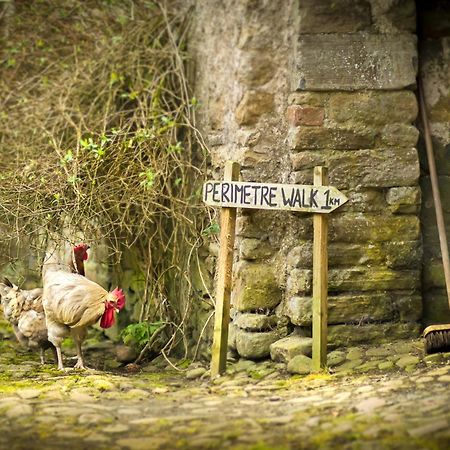 ホテル Roundwood House Mountrath エクステリア 写真