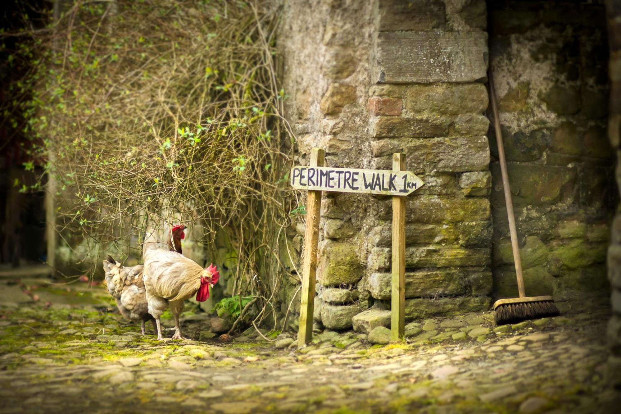 ホテル Roundwood House Mountrath エクステリア 写真